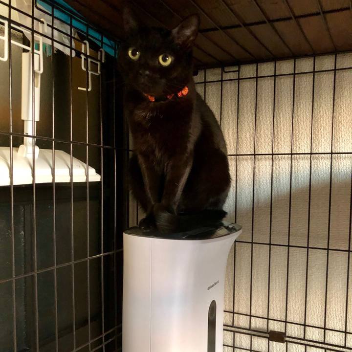 550c869e 9bf4 4b08 9dbf ebafe11c1a65 1547005899537