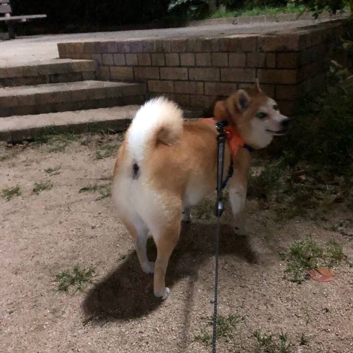 550caf43 7580 487e bef6 8beaf31e455c 1569475049285