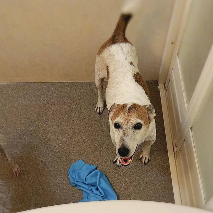 550cb1ab 183d 4883 96ee 2a5e3c82fbe1 1578806217428