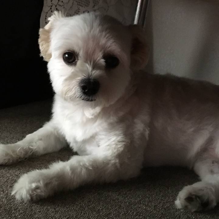 550cfe63 0ecf 4892 8a8d 94b308540144 1540558428973