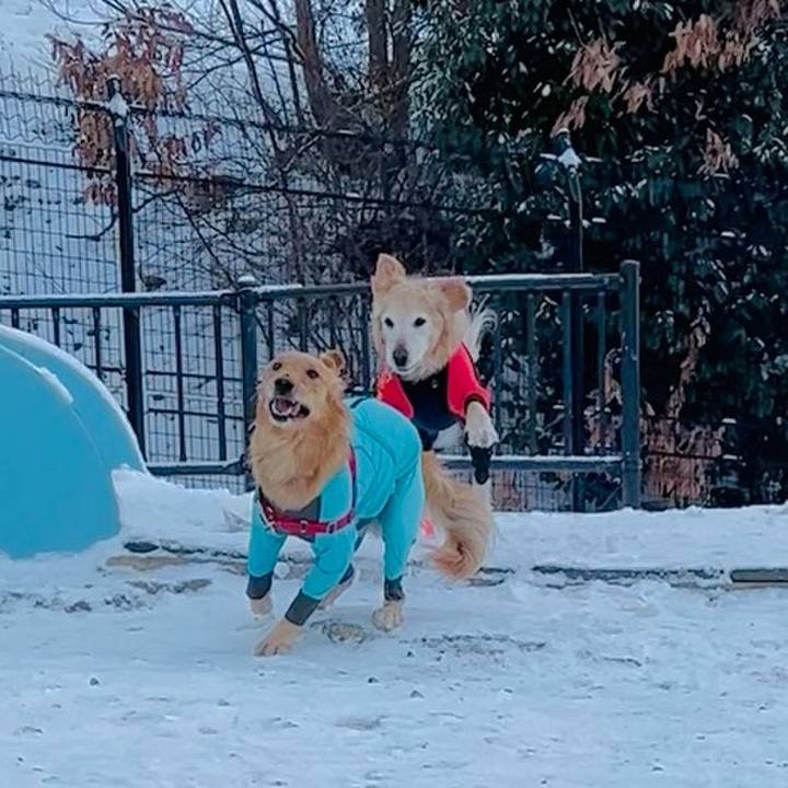 550d0d0e e3ab 4571 a28e facf44073c83 1770609137761