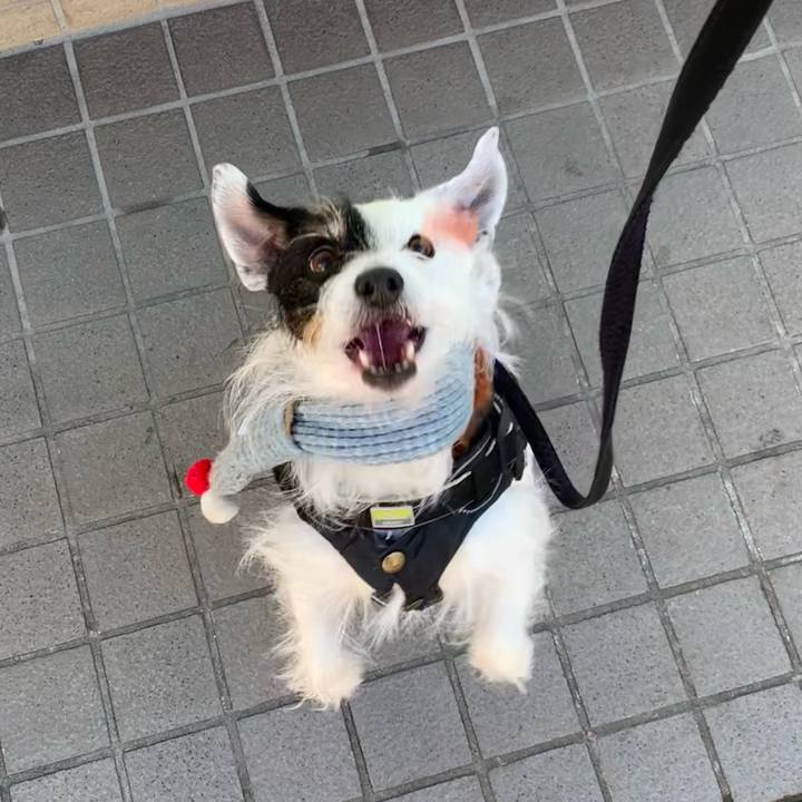 550d0fed 3eef 44ad ac27 350b5ca6337c 1705365424634