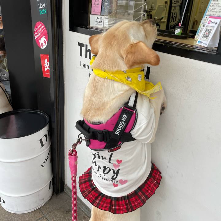 550d0ff6 a6af 48d6 8343 3bd78cc0e9d4 1650011084235