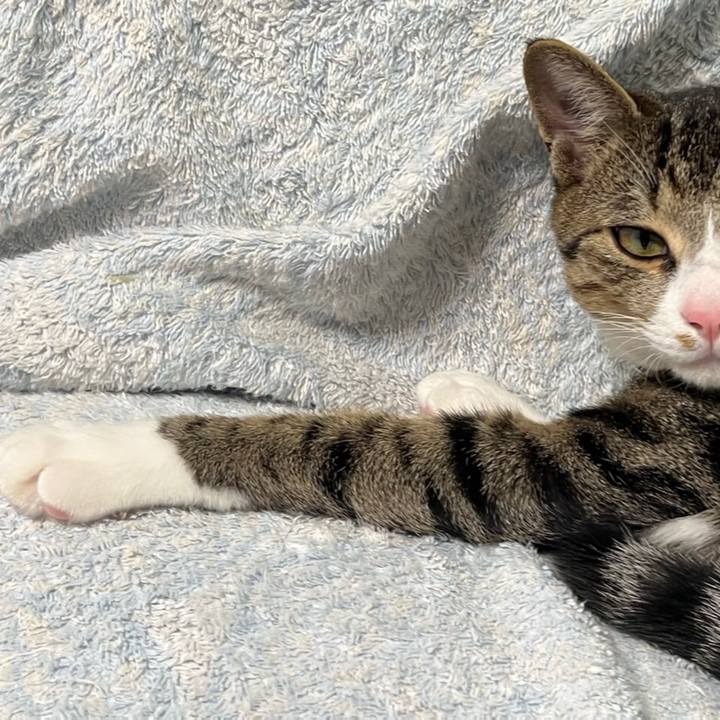 550d4339 901d 41e5 901b 16fbd3b4d20d 1659825725627