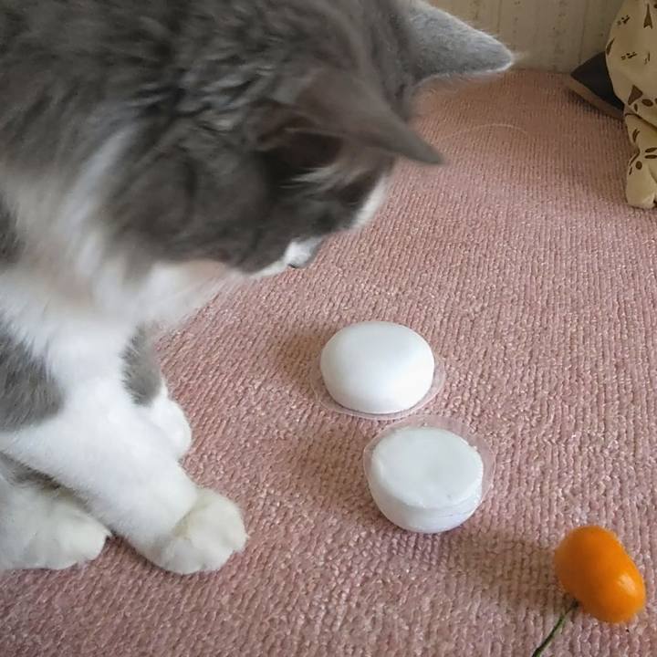 550d7988 8677 49da 810d bf24f989030b 1577924457177