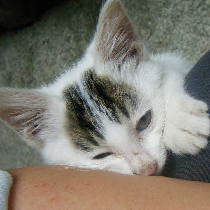 550d7ae7 d8b7 4691 aa0a f598abe4b861 1549352004840