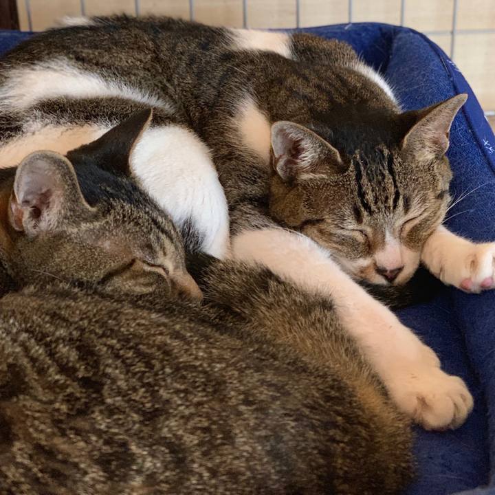 550d8222 746b 4b88 bc77 768cdc2cc79c 1568681609724