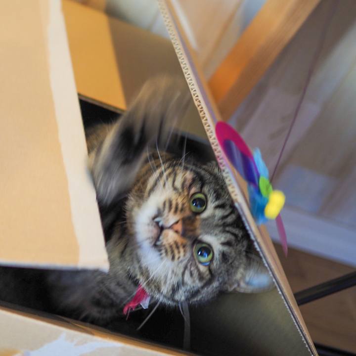 550d9762 ae5e 496d 8e88 1a0851ee4f53 1610510494670