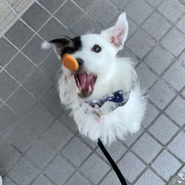 550da755 7690 4ec5 a66b 99dce7a0d566 1662799415802