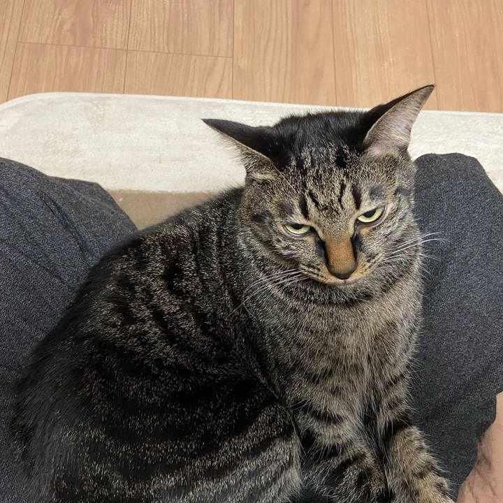 550db034 b268 44b1 b194 c8dc40468477 1675770943806