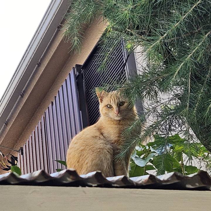 550db7a1 f465 4016 9542 d10f227f291c 1708747912252