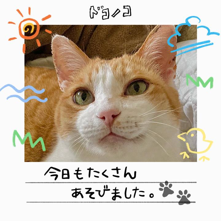 550de913 ab50 4a50 b7be 89e2ea9916fc 1755081615691