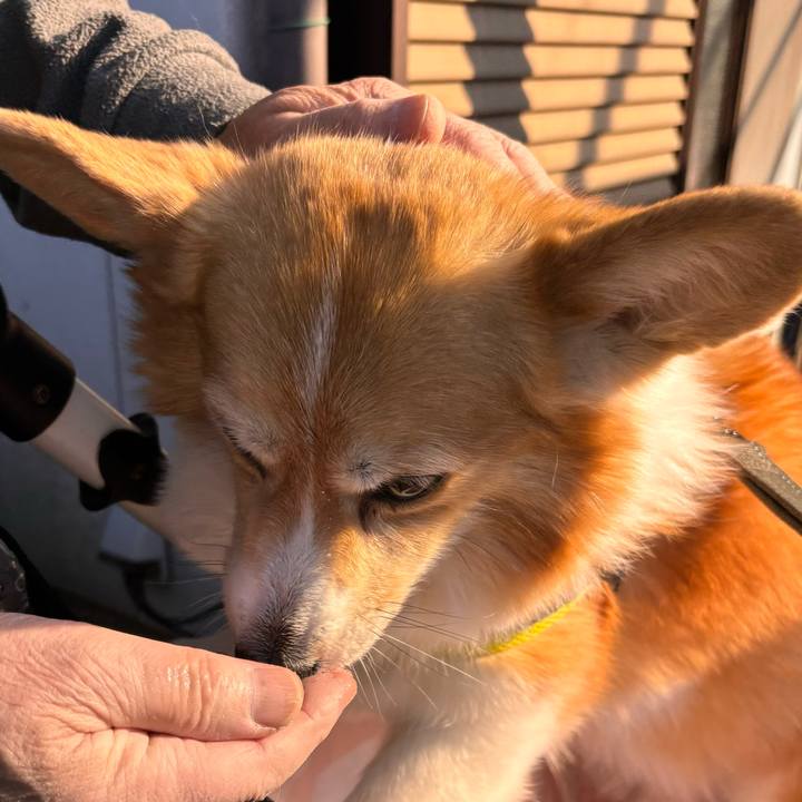 550df71a 0b37 4018 91b0 740aa15db659 1766020910861