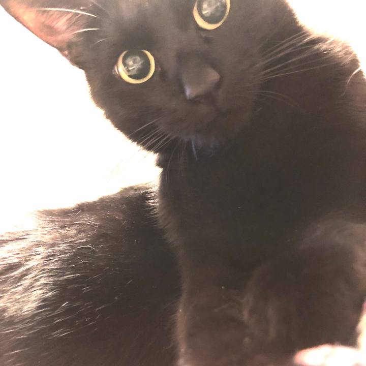 550e06c9 9bbe 4fac 9b03 0572a46a4a74 1514375959337