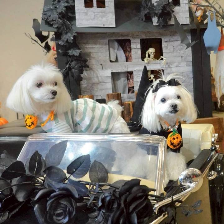 550e1230 1463 4eb8 84ee 808fdb1fab5a 1759128679970