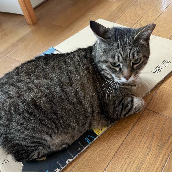 550e5323 1b6d 4e08 a7e1 a81666d5aca2 1654656429036