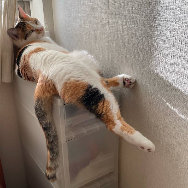 550e9687 4efa 42a1 ab4c e298a6cf0086 1696660453954