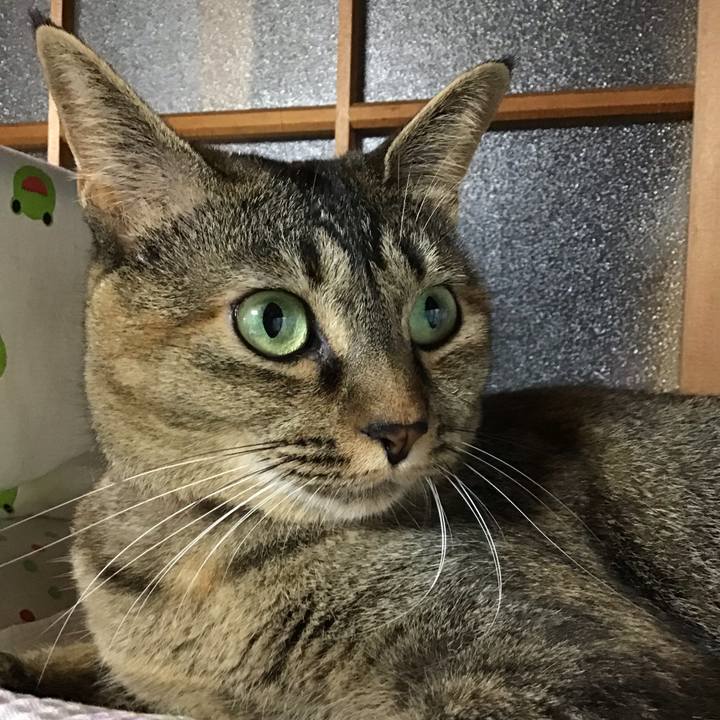 550e9a26 fd04 4de0 b073 e1fe0c9a8351 1629672222484