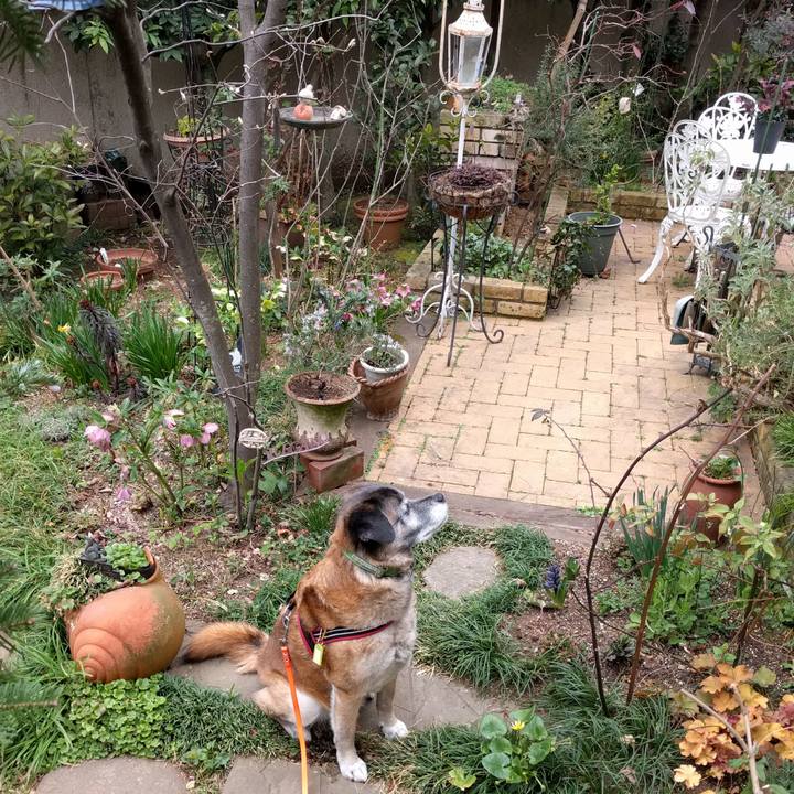 550ea1ba 14f1 499a a4db 82fe6b0c7e5c 1521765828625