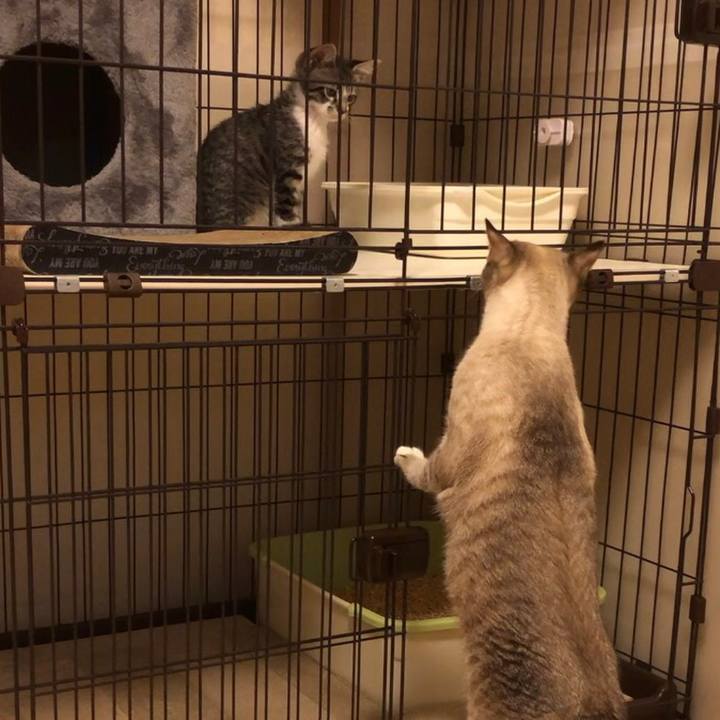 550eaada 77c5 473a a1d7 93df37940a4a 1636203484966