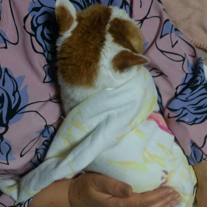 550ed322 8d9c 47e5 a22f 8919c70f1eae 1512567903505