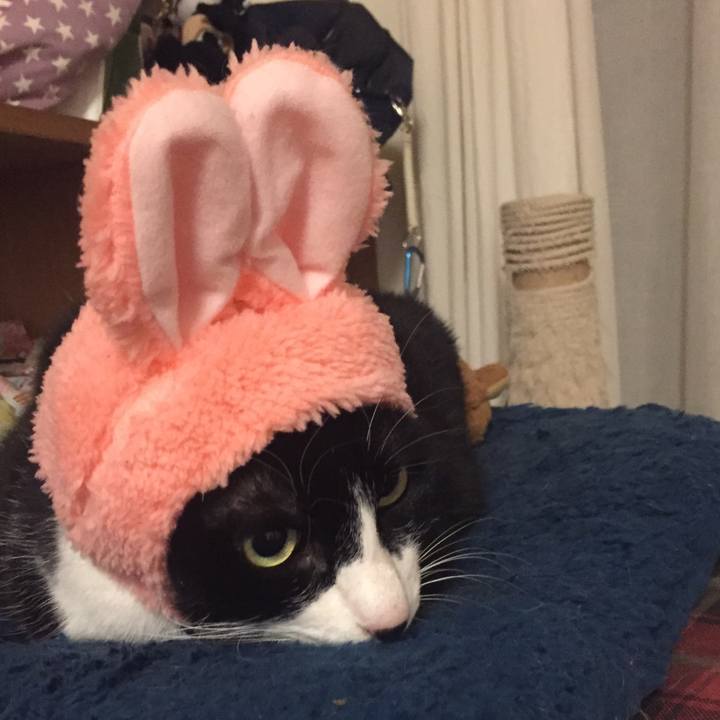 550eeda9 6437 4837 9b60 18aa6febb331 1519989000133