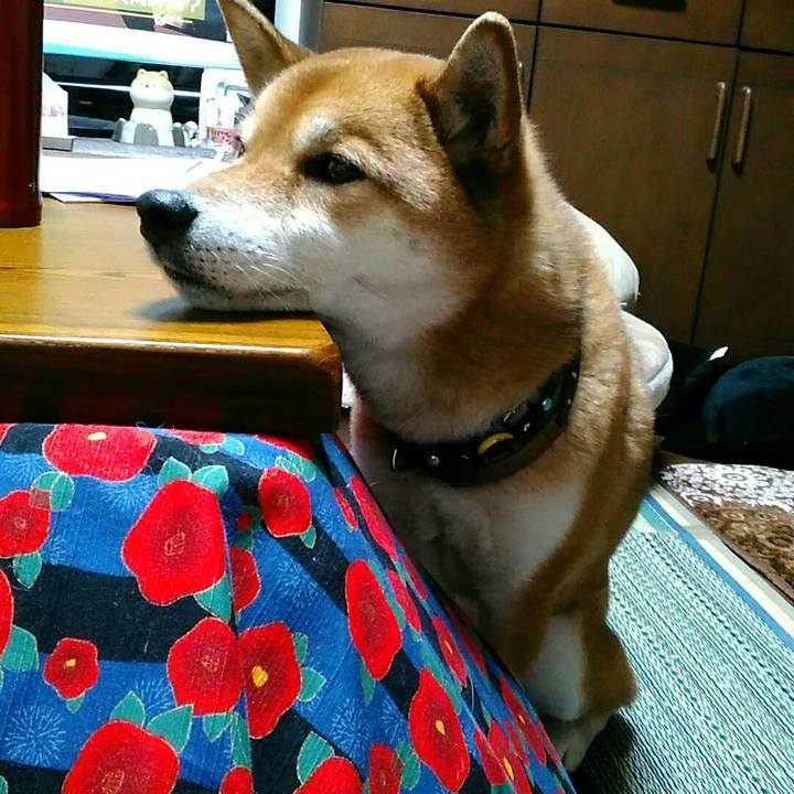 550f3b1f 2893 4d17 bc80 367e68607852 1551264136866