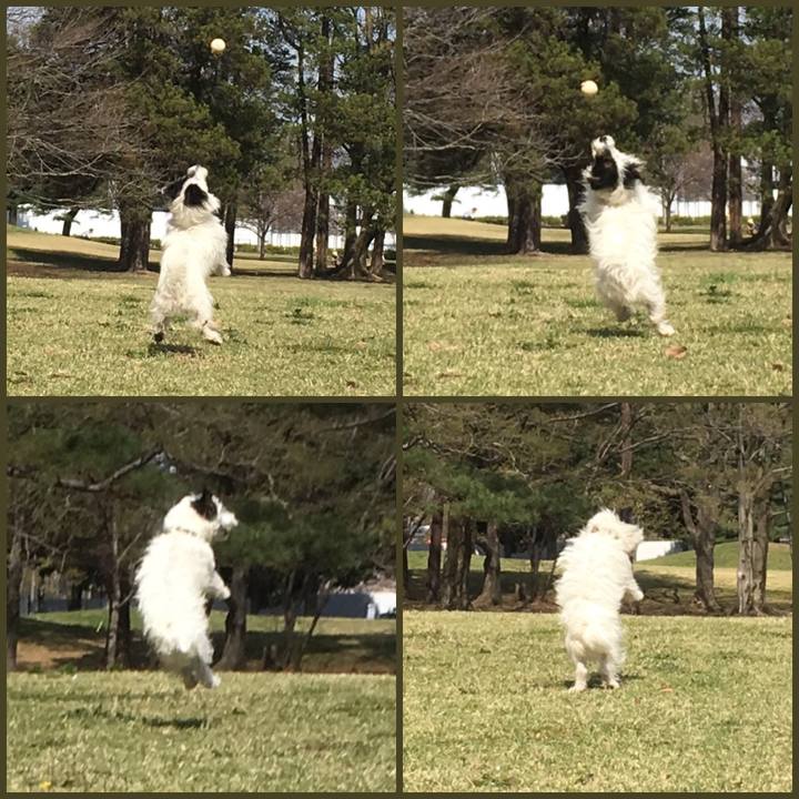 550f73eb 42f7 41c9 b98b f11f6710dbd9 1522500900902