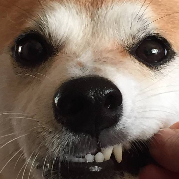 550fbd95 da42 4c06 9234 52f33de8928a 1507694923315