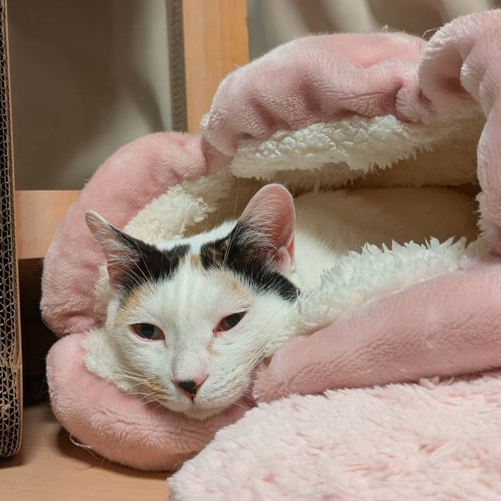 550fc061 7bd9 4316 8499 f48a70cb9f9d 1745581749903