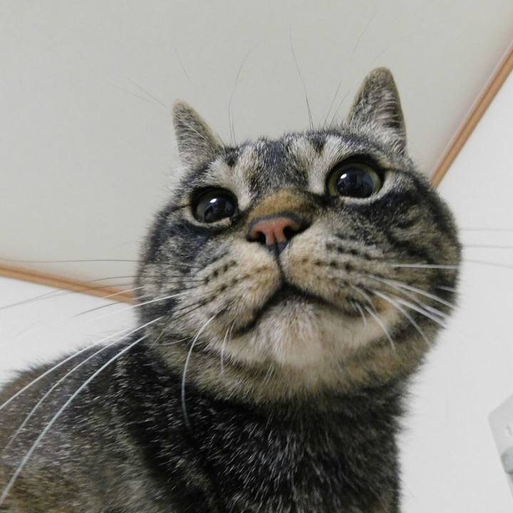 550fe3f8 f6dd 4e18 8e59 e5769f6b5bf9 1531433133785