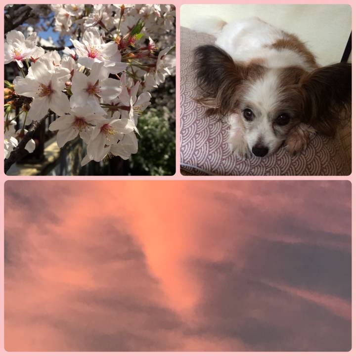 550feda8 6a46 48ba 8a35 dc4a3222a525 1534251414424