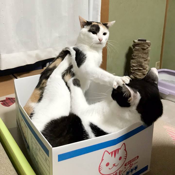 5510029d ca2d 4ef6 a882 b99dfbf150fc 1537369154519