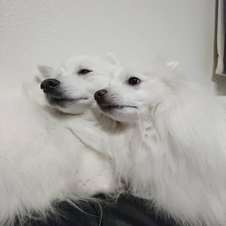 55101537 6dce 4ba6 bfb0 dac5a37f39a8 1610168789181