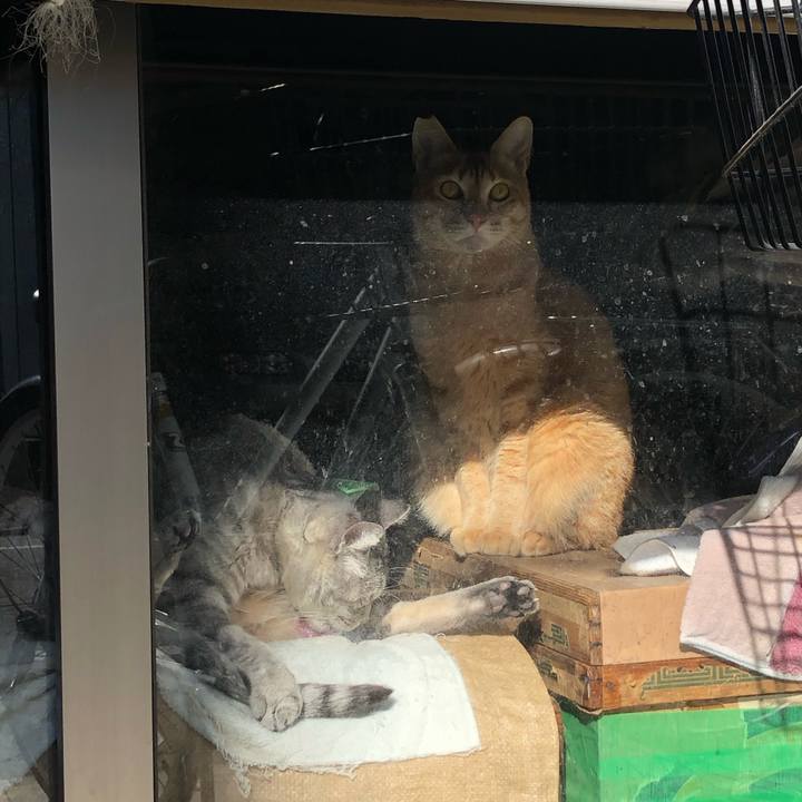 55102531 3557 4903 8573 83edad7eef9e 1610463922853