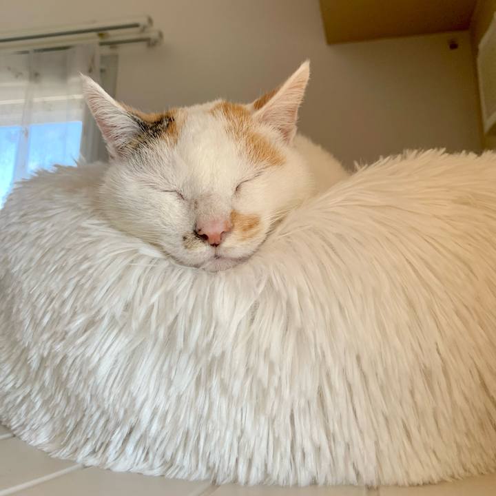 55103dcc e013 44dc 922a 41a56acae08c 1652154585457