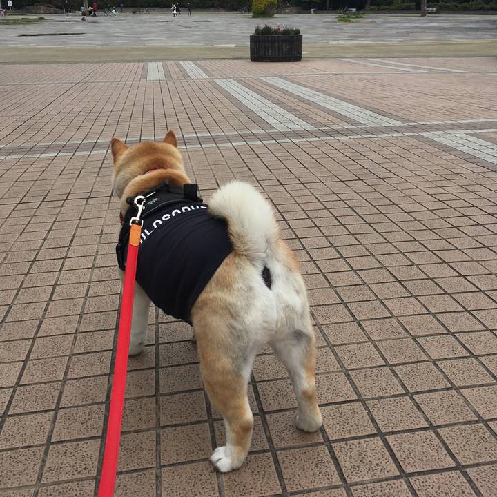 55104240 2809 4966 83f8 dde2e94927d1 1583565055106