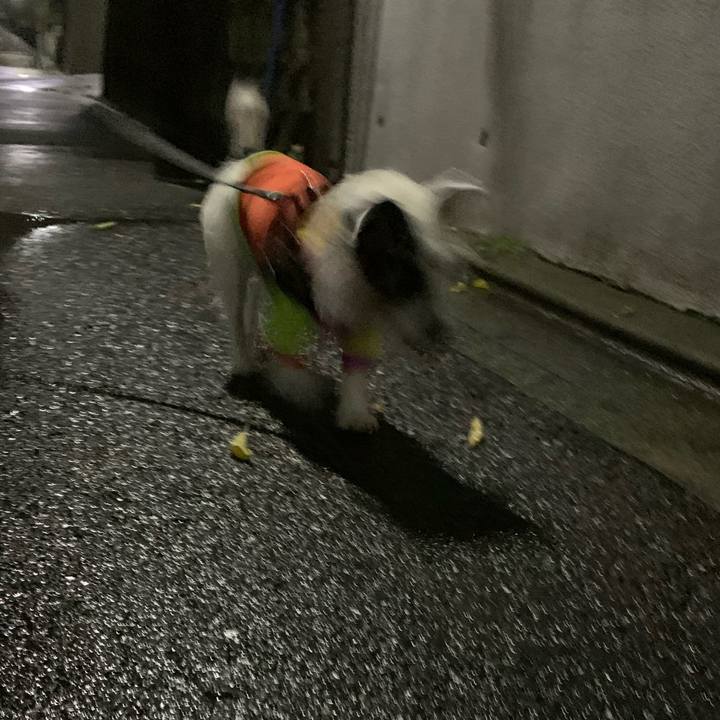 551046fe be7d 4106 9fa6 4228c37ec6a2 1663936025194