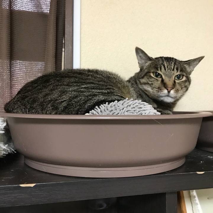 55104947 539e 48d9 8eab c96d9b22e5eb 1526721169815