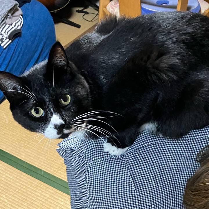 55105a9b 589b 4e46 b73f 3065496c86fd 1738036814338