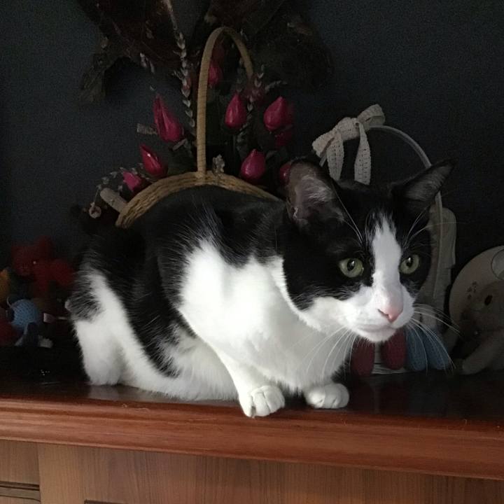 551074f8 1828 4b7b 9b37 736071cb5327 1750929678461