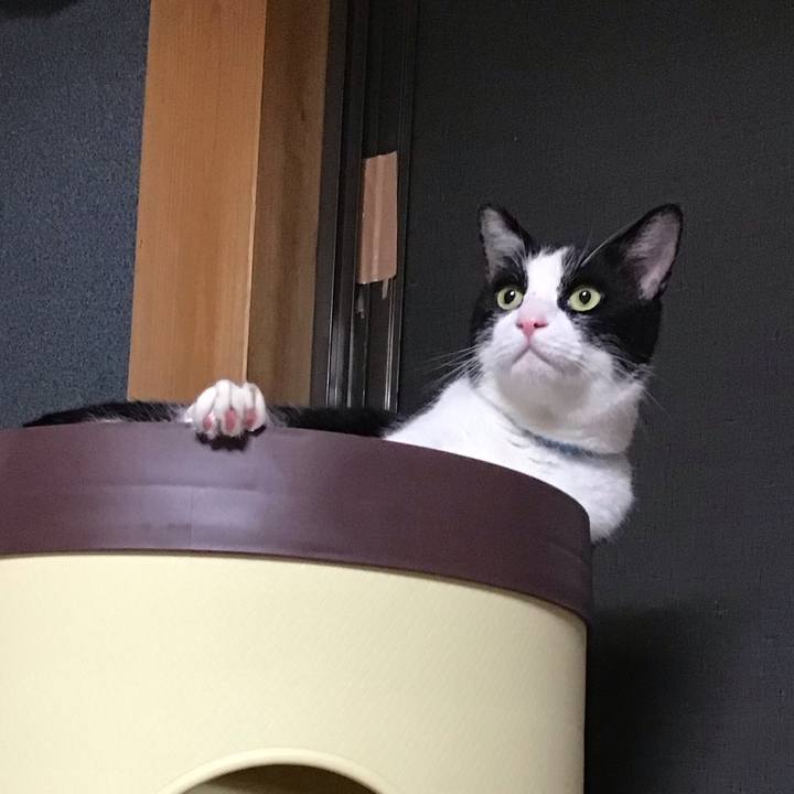 55108b67 0af5 41af 8cad 931433896570 1755517665020