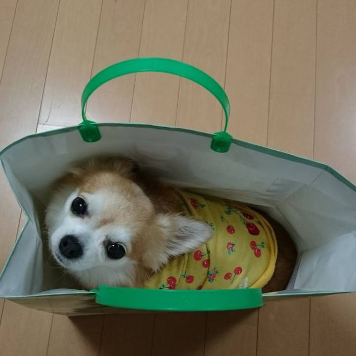 55109cf6 ada4 4fd1 a8ea 50792cb646d2 1542713777643