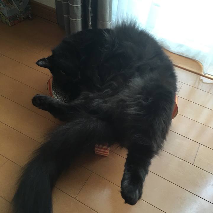 5510b2b7 75f2 46b1 82ad 08e9f57e32ec 1525223292551