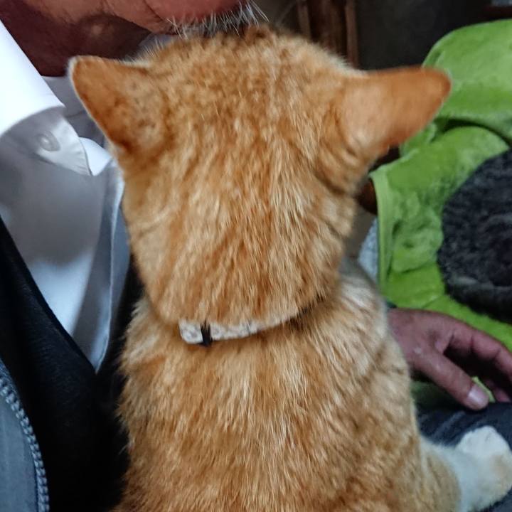 5510bcae 890d 4b4a 92b6 6a3c1f7aeefa 1587333364355