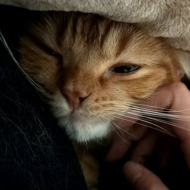 5511469b 38f6 438c aaeb d23ff1217961 1603594028518