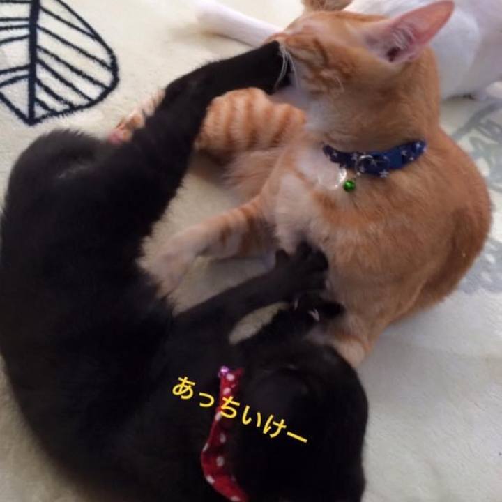 55115e98 4588 4e1c 9e90 8fd9d48ce276 1604742841011