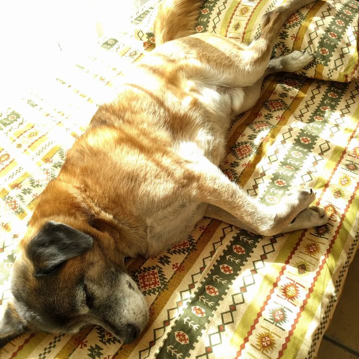 5511eb74 0680 4334 8915 57795e906c7f 1515298400902