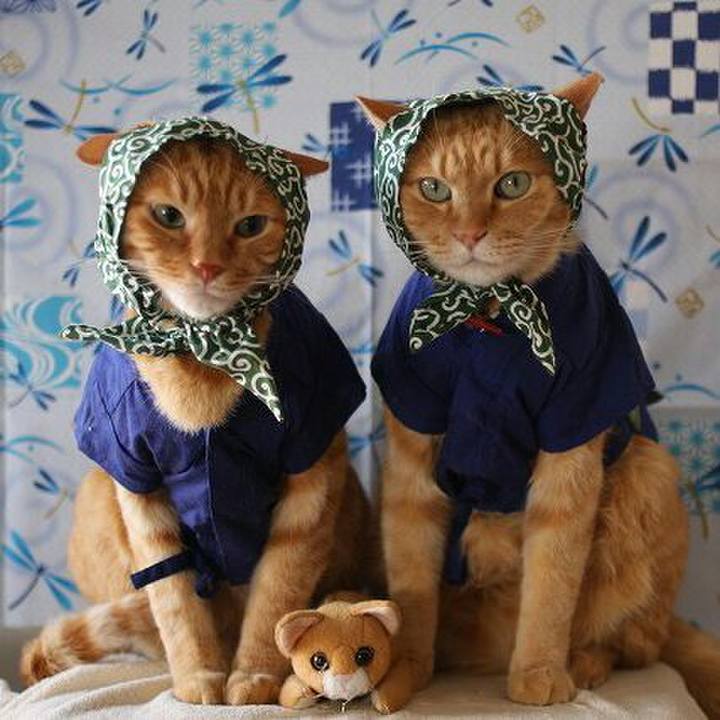 5511f381 a34e 418e 9694 5e41ba8690ae 1512918253248