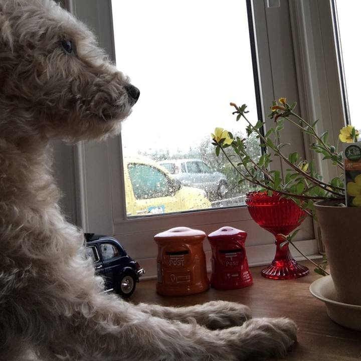 551207e9 1e11 4666 b956 35f96d5b98c4 1538291882076